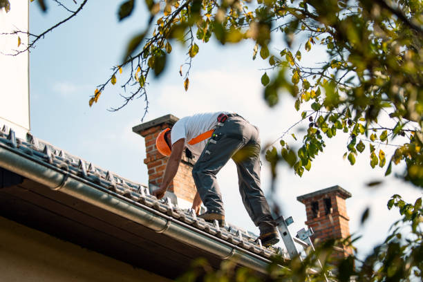 Best Storm Damage Roof Repair  in Howards Grove, WI